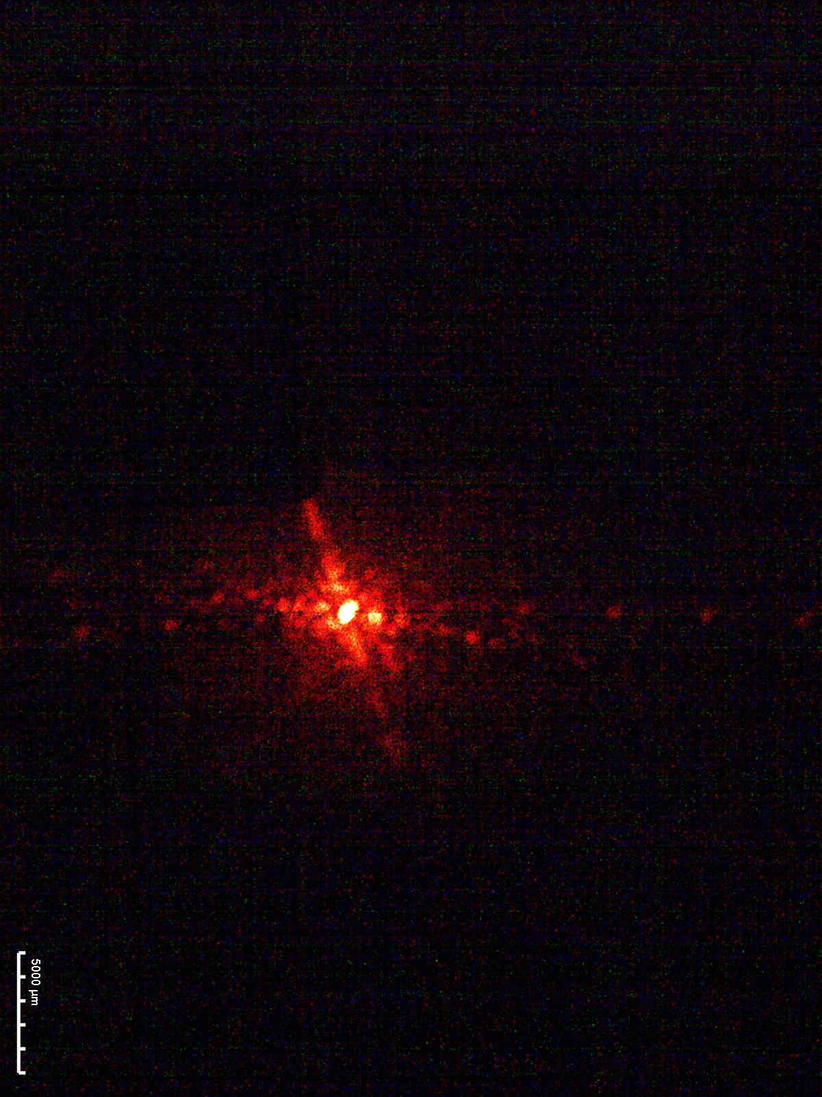 Diffraction Grating Analysis